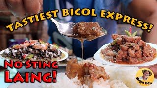 Best Bicol Express and Laing Recipe HD [upl. by Gant]