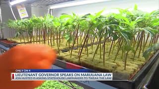 Lieutenant governor asks Ohio statehouse to tweak marijuana law [upl. by Annoved401]