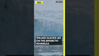 😱😱Massive glacier breaks down in Antarctica triggers internal tsunami  DNA Shorts [upl. by Sinegold]