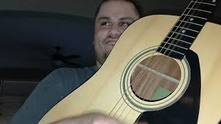 Luke Combs  quotForever After Allquot Guitar Cover [upl. by Amein]