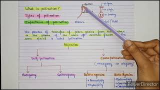 pollination  types of pollination  self pollination and cross pollination  what is pollination [upl. by Nenney]