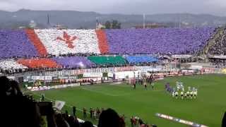 FiorentinaJuve 42 dalla coreografia alla festa [upl. by Keeley]