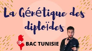 Génétique des diploïdes 03 BAC  Exercice corrigé avec explication détaillé du cours [upl. by Merna122]