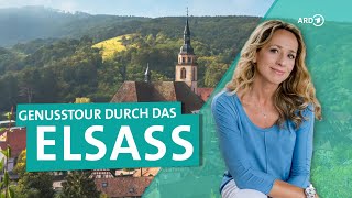 Das Elsass in Frankreich – Zwischen Colmar und Straßburg  ARD Reisen [upl. by Weiner]