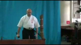 ИАЙДО  ИАЙДЗЮЦУ  TAMESIGIRI SHINKEN KOKORO 20110625 [upl. by Chicoine]