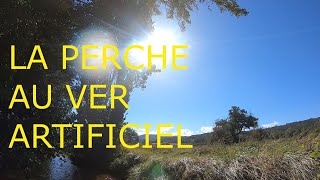 LA PERCHE AU VER ARTIFICIEL [upl. by Kerby]