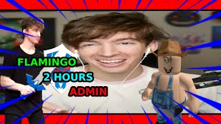 2 Hours of Flamingo Admin [upl. by Ahsla]