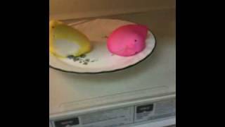 What happens when you microwave peeps [upl. by Litsyrk]