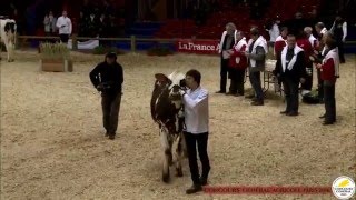 Trophée National des Lycées Agricoles  Replay du 0503 [upl. by Crowns]