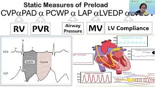 USE it POCUS Webinar [upl. by Gardal]