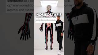 Homeostasis Rap 💥 GCSE Biology [upl. by Richardson]