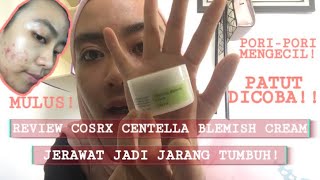 REVIEW COSRX CENTELLA BLEMISH CREAM ATASI KEMERAHAN AKIBAT JERAWAT DAN MENCEGAHNYA TUMBUH [upl. by Nodnorb714]