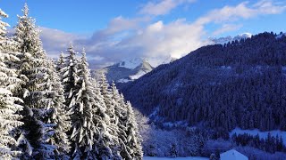 Ski de randonnée Pointe de Bellevue2042mdepuis Morgins Brasserie 7Peaks ValaisSuisse05012022 [upl. by Fayre]