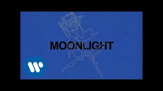 Ali Gatie  Moonlight Official Lyrics Video [upl. by Tletski988]