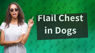 What is flail chest dog [upl. by Retrop]