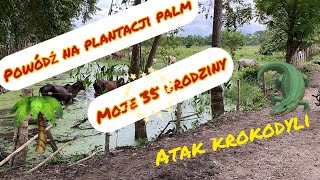 Kolumbia 🇨🇴 moje 35 urodziny atak krokodyli powódź na plantacji palm czyli życie w dżungli 🌴 [upl. by Einhpad451]