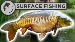 The Best Rig For Surface Carp Fishing very effective [upl. by Ewart]