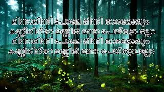 Minnaminni Pole Christmas Malayalam Song [upl. by Karb265]