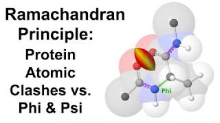 Ramachandran Principle Protein Atomic Clashes vs Phi amp Psi [upl. by Brigitte941]