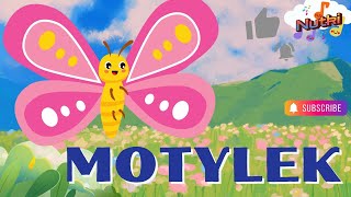 Piosenki dla dzieci MOTYLEK 🦋 [upl. by Sprung]