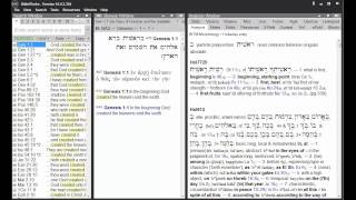 How to Increase the Size of Text in the BibleWorks Windows BW10 [upl. by Harrat]