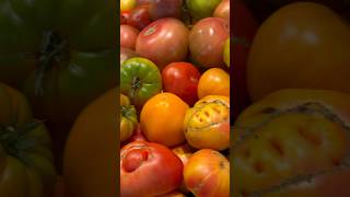 Organic heirloom tomatoes shorts food delicious [upl. by Powe]