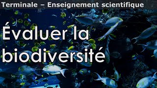 Évaluer la biodiversité  Enseignement scientifique  Terminale [upl. by Jemena]