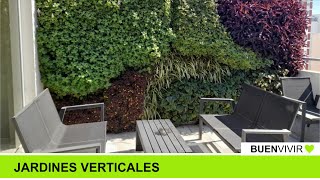 JARDINES VERTICALES  Florencia Páez  BUENVIVIR💚 120824 Canal 4 [upl. by Godber]