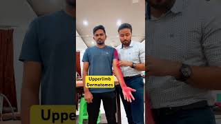 Dermatomes Upper limb in 1 minute physiotrendz assessment [upl. by Aryam627]