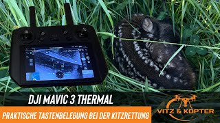 DJI Mavic 3 Thermal  Praktische Tastenbelegung für die Kitzrettung [upl. by Margery]