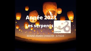 🐍 Serpents  signe astrologique chinois pour lannée 2023 🐍 [upl. by Annenn719]