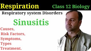 Sinusitis Class 12 Biology  Pathophysiology Causes Symptoms and Treatment [upl. by Ahsaeyt]