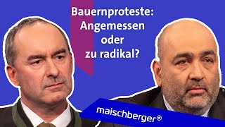 Bauernproteste amp AmpelStreit  gibt es Neuwahlen Hubert Aiwanger und Omid Nouripour  maischberger [upl. by Nnayd340]