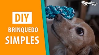 DIY  Saiba como fazer um brinquedo simples para seu pet [upl. by Gruver834]