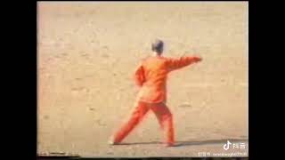 Baji Quan 八極拳 Wang Shutian王樹田 [upl. by Montagna]