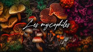 🍄 Podcast Les MYCOPHILES 10  Maxime  Champiloop  la champignonnière urbaine [upl. by Arac]