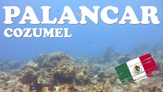 Diving the famous Palancar Reef in Cozumel Mexico [upl. by Ornie]