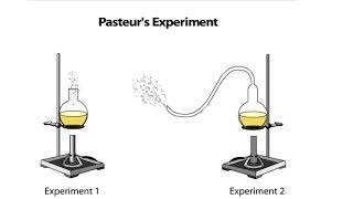 Pasteurs Experiment [upl. by Giglio]