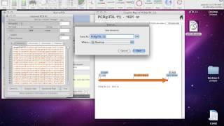 PCR based cloning [upl. by Thormora]