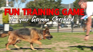 German Shepherd Training Game  make Obedience Fun for your DOG [upl. by Kutchins172]