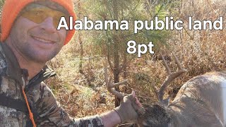 Annual January rut hunt on Alabama WMA Six bucks in the last 5 years [upl. by Nerine]