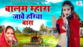 Sawari Bai का राजस्थानी गाना quot बालम म्हारा जावे हरिया बाग़ quotMarwadi Songs  देसी गाने [upl. by Onailimixam263]