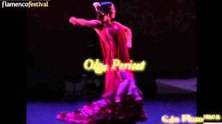 Flamenco Festival 2012 Promo [upl. by Katlaps278]