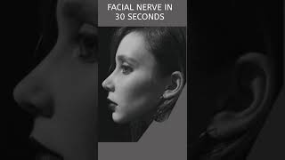 Facial nerve in 30 seconds [upl. by Martell267]