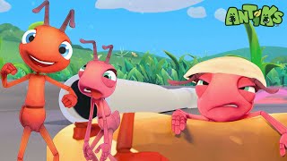 Mystery Mix  😄🐜 Antiks Adventures  Joey and Boos Playtime [upl. by Latsyrhc]