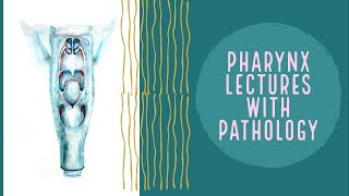 PAROTID ABSCESS explanation PHARYNX lecture 17 [upl. by Mischa]