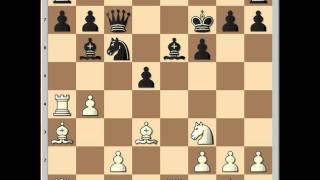 Carlsen vs Nikolic Wijk aan Zee 2005 [upl. by Sumahs57]