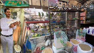 Birds and summer season update  Bird market and Pets Jhang bazar Faisalabad [upl. by Scopp391]