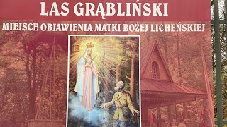 LAS GRĄBLIŃSKI KOŁO LICHENIA [upl. by Lirret729]