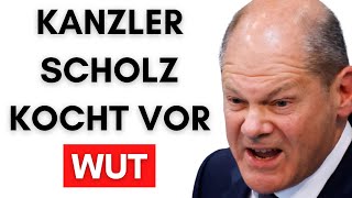 Scholz „Bürger sind gefallene Engel aus der Hölle“ [upl. by Aihsotal873]